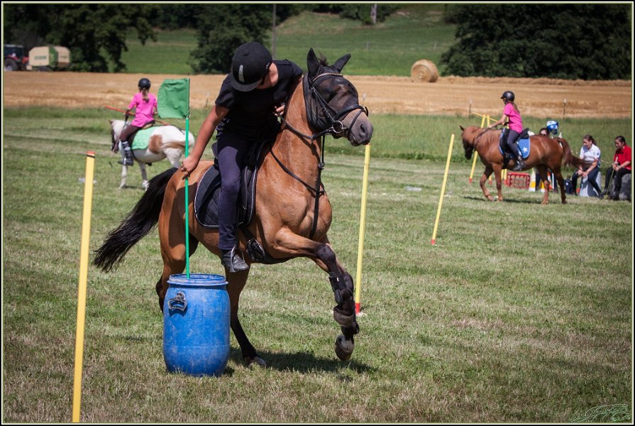 Mounted Games 249